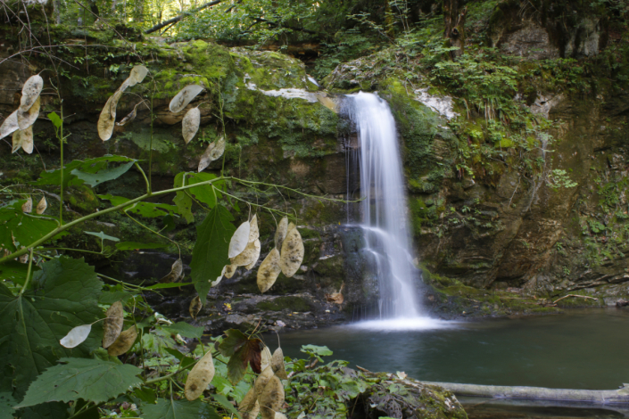aktualno_bezjakov_slap